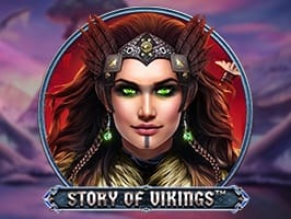 Story Of Vikings game cover