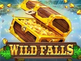 Wild Falls game cover