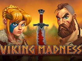 Viking Madness game cover
