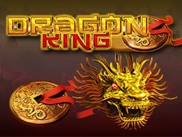Dragon King game cover
